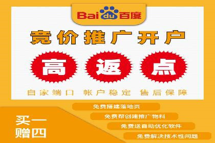 SEM竞价技巧：成功案例揭秘